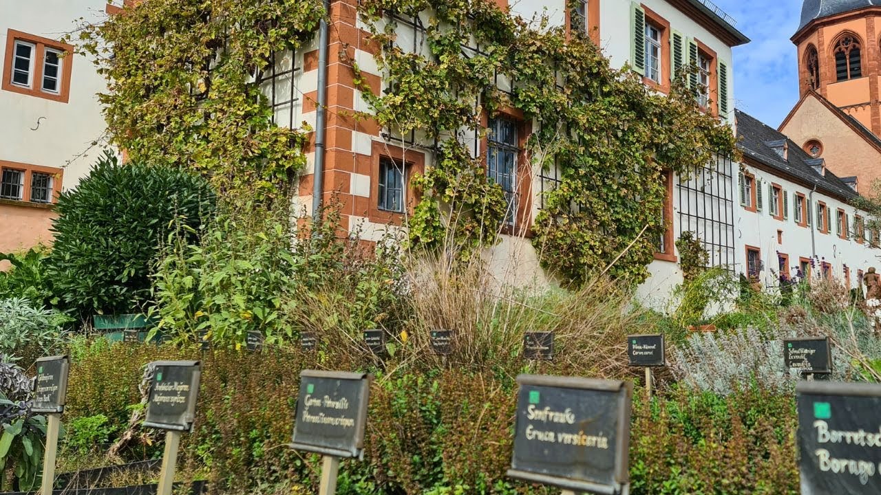 Heilpflanzen der KlosterMedizin Kommt mit durch den ApothekerGarten