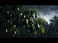 No Ads Rain Sounds for Sleeping - ASMR Rain and Thunder Sounds For Sleeping, Relaxing