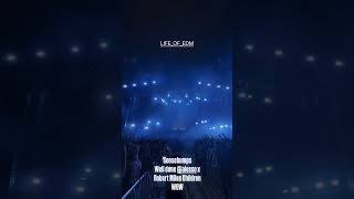 Alesso  At Ultra  Festival 2025  Children Remix   alesso umf umf2025 remix 