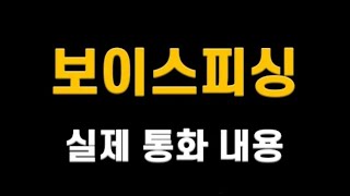 2025년 10월 13일 대출 사기 보이스피싱(315회)