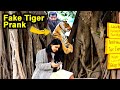 Fake Tiger Prank On Girls | Waqas Rana | Pranks in Pakistan | Zero Brand | 2021