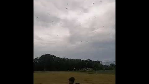 Test Mini Amplifier Portable Hp4000 Diy For Swiftlet Sound Test