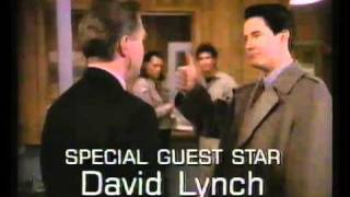 L.a. Lawtwin Peaks 1991