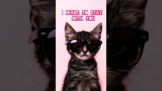 Dont leave Stay With Me 😿 | Cat Short #shorts #cat #dontleave #cuteanimals