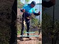 zarate. pesca y fritanga ya esta disponible el video completo #fishing #pesca #pescador #pescadores