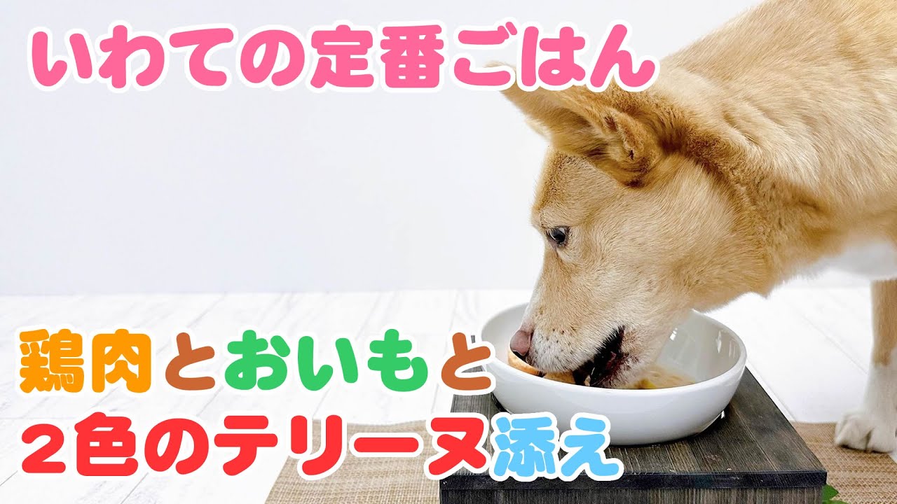 簡単手作り犬ご飯】いわての定番ごはん 鶏肉とおいもと2色のテリーヌ 