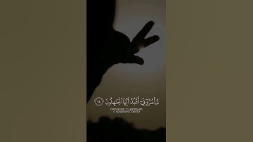 سورة الزمر | القارئ عبدالله غيلان