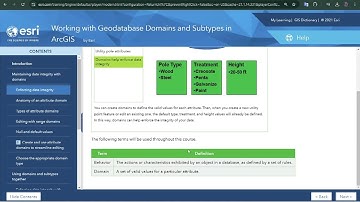 Working with Geodatabase Domains and Subtypes in ArcGIS