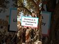 Zacchaeus: A Life Changed by Kindness