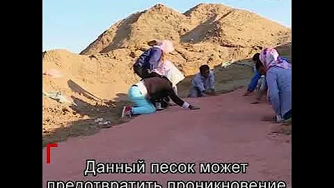 Выращивание риса посреди пустыни в Китае|CCTV Русский