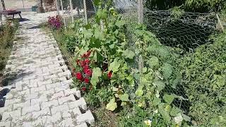  KEKEMELİKTEN NASIL KURTULDUM / KEKEME OLMAMA SEBEB OLAN TRAVMAM #kekemelik #başarı #zafer 