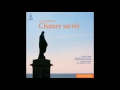 Oregan Bach Festival Choir, Orchestra, Helmuth Rilling - Stabat Mater, Op. 58: V. Coro "Tui nati vul