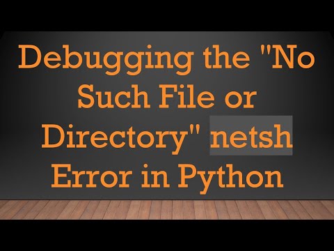 Debugging the "No Such File or Directory" netsh Error in Python