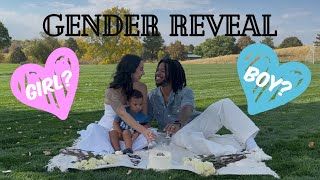 GENDER REVEAL for Baby #2!!