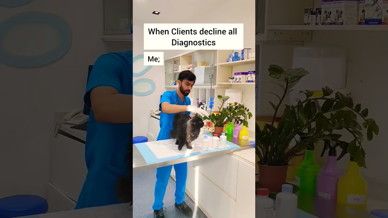 When Client decline all diagnostics 😂 