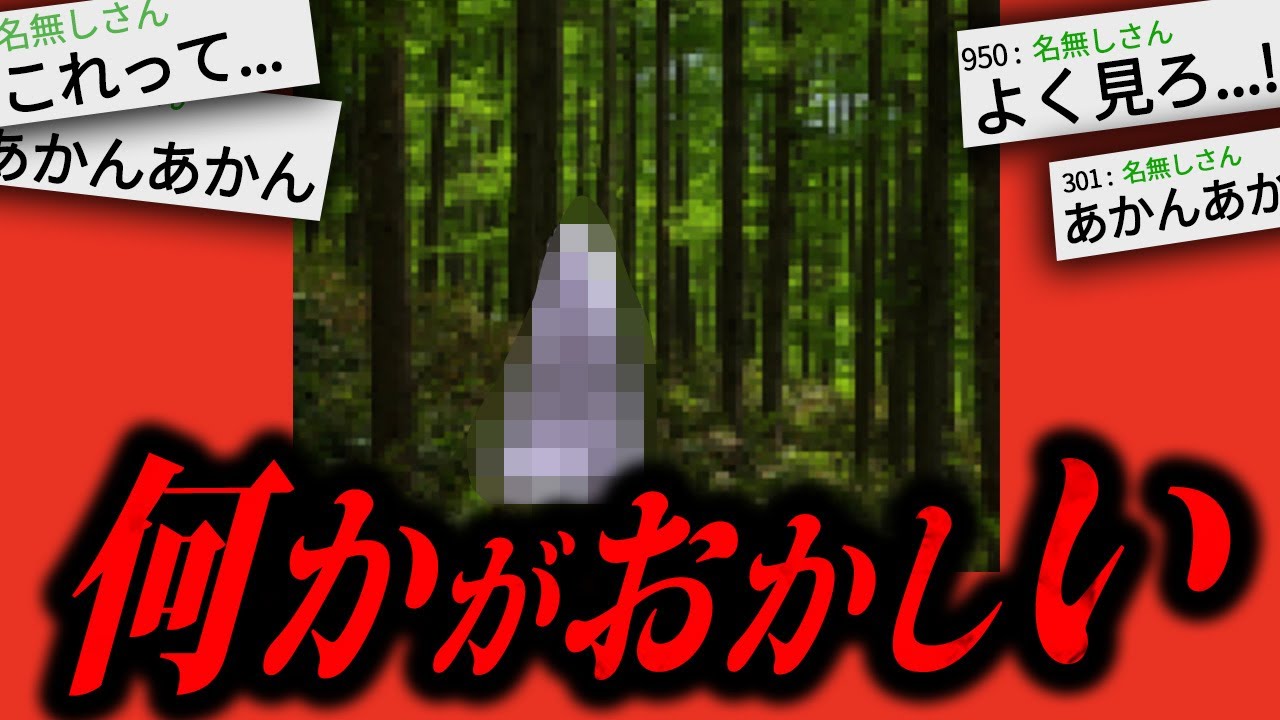 【あかん】2chに投稿され物議を醸した「とある写真」が怖すぎる....