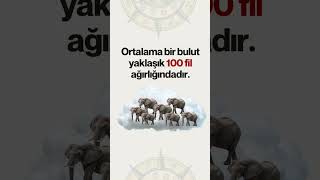 Bulut Ve Filler #deney #ilginç #fenbilimleri #ilginçvideolar #ilginçbilgiler #bilgi #LGS