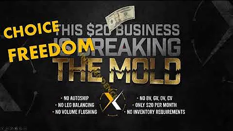 Xcelerate International Presentation