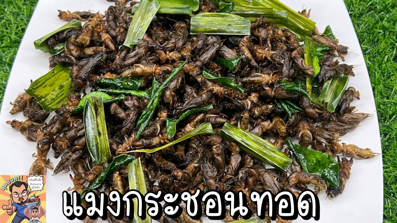 แมงกระชอนทอด โหน่งโชว์ l เข้าครัวกับคุณโหน่ง
