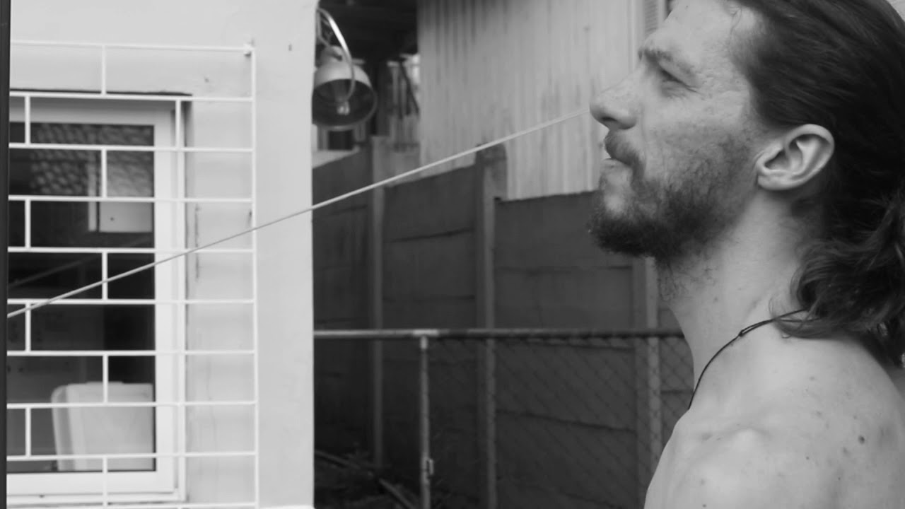 ombrófila mística apresenta 'amintas de barros'