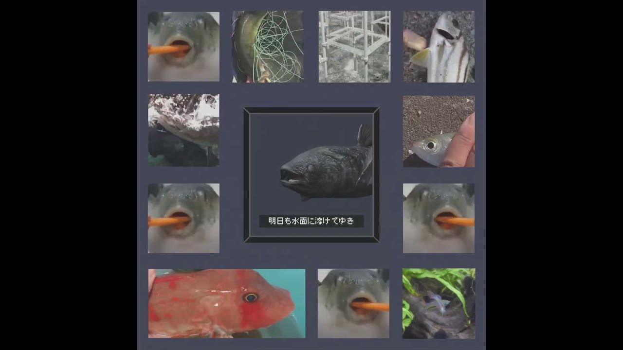 ラティメリア YouTube