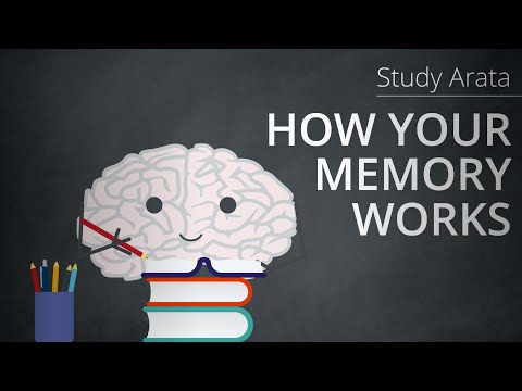 Video: Ako sa nazýva proces získavania informácií z pamäte?