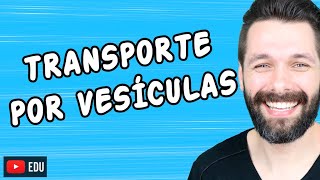 ENDOCITOSE (FAGOCITOSE E PINOCITOSE) E EXOCITOSE - Transporte por vesículas | Biologia com Samuel