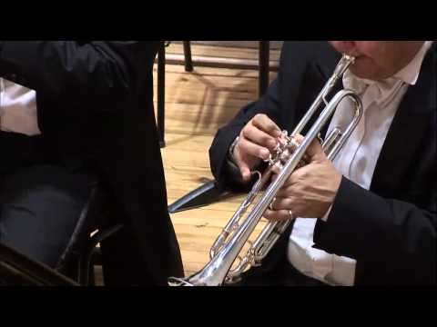 W.A. Mozart. Concerto No. 24, KV. 491, II-III (V. Gryaznov)