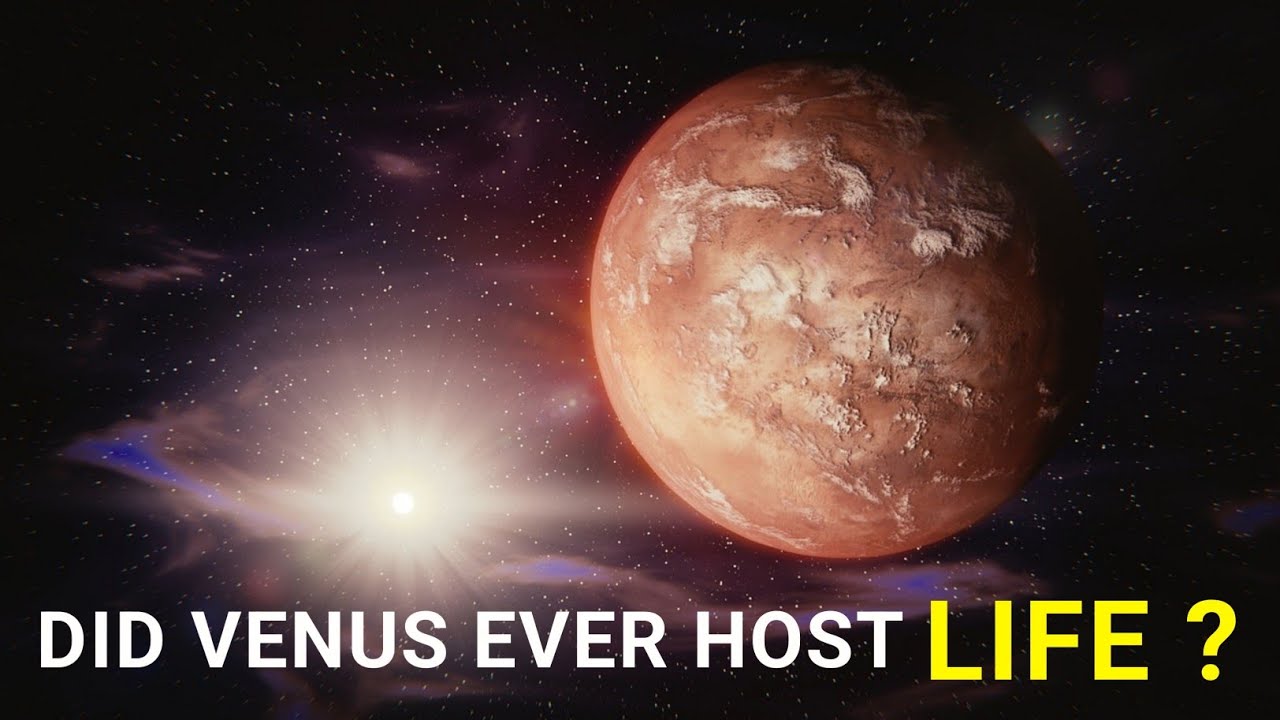 Did Venus ever host Life?? Did Nasa Hide Evidence of Life on Venus ...