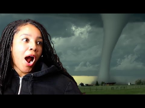 Craziest Nature Videos of the Decade | Reaction