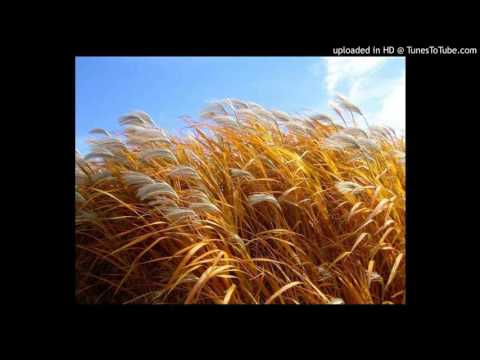 Dakot Freestyle Acapella - Venus