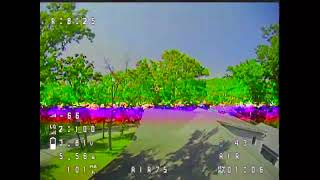 Drone Stuck in Tree - Knocked it Out with a 30ft pole