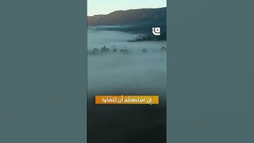 تلاوة هادئة لما تيسّر من سورة الرحمن #قاف_التفاعلية
