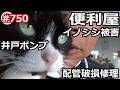イノシシ被害井戸ポンプ配管破損修理の巻