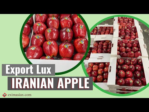 Exporting Iranian Luxe