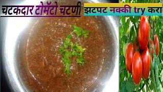 tomato chutney || row tomato chutney recipe in marathi|| spicy tomato chutney