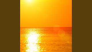 Feel The Sun feat Shel Bee