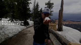 USA Road Trip West Coast 2017