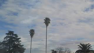 Partly Cloudy and Light North Breeze 10:04am December 28, 2020