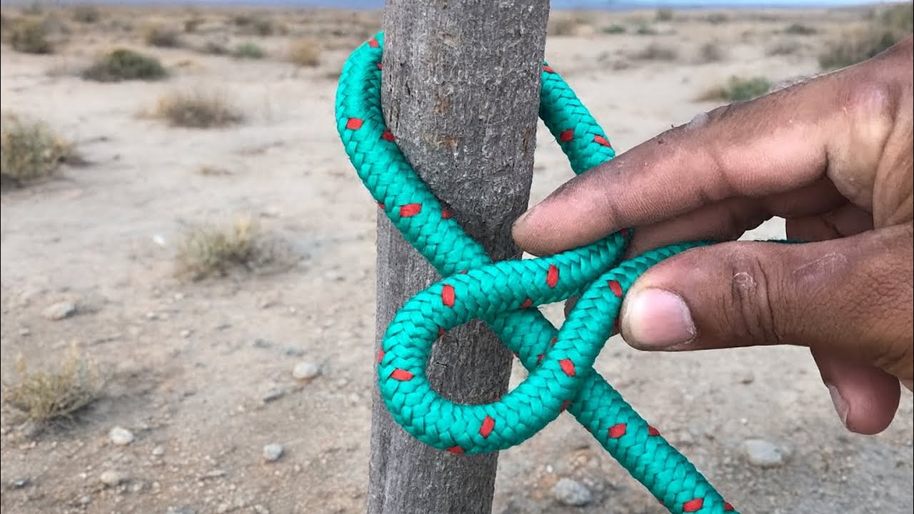 Wow ! 4 World Best Knots  - Don’t Miss Out! 