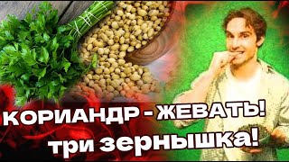 Для Чего ЖУЮТ КОРИАНДР? В Китае считали, что кориандр делает человека бессмертным...