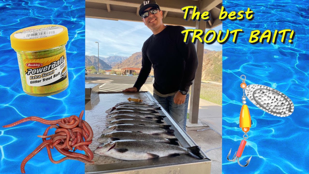 RIVER TROUT POWER WORM | TROUT fishing 