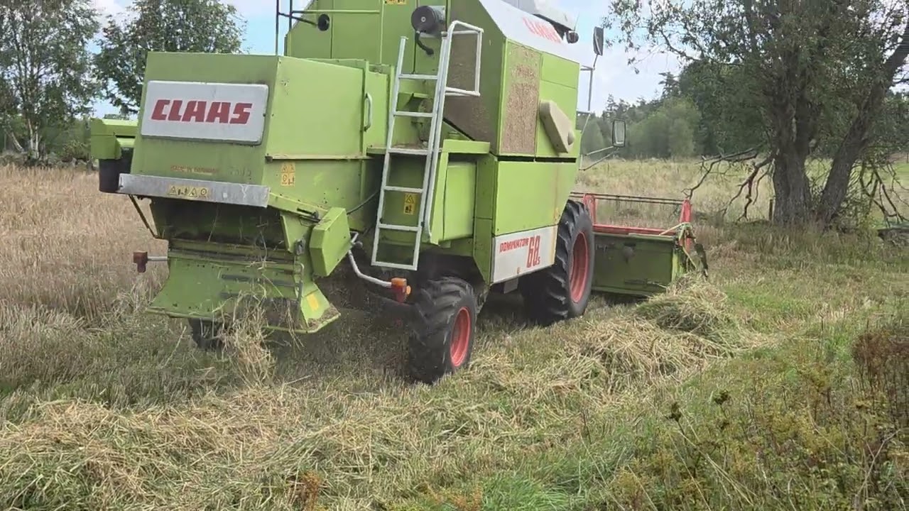 Claas dominator 68