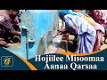 Hojiilee Misoomaa Aanaa Kurfaa