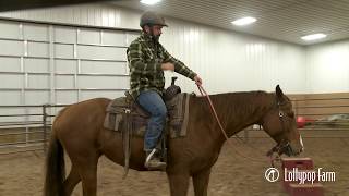 Famous Equine Program Training Tips: Working on Natural Collection with Bella Profile