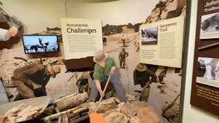 IMG 4662