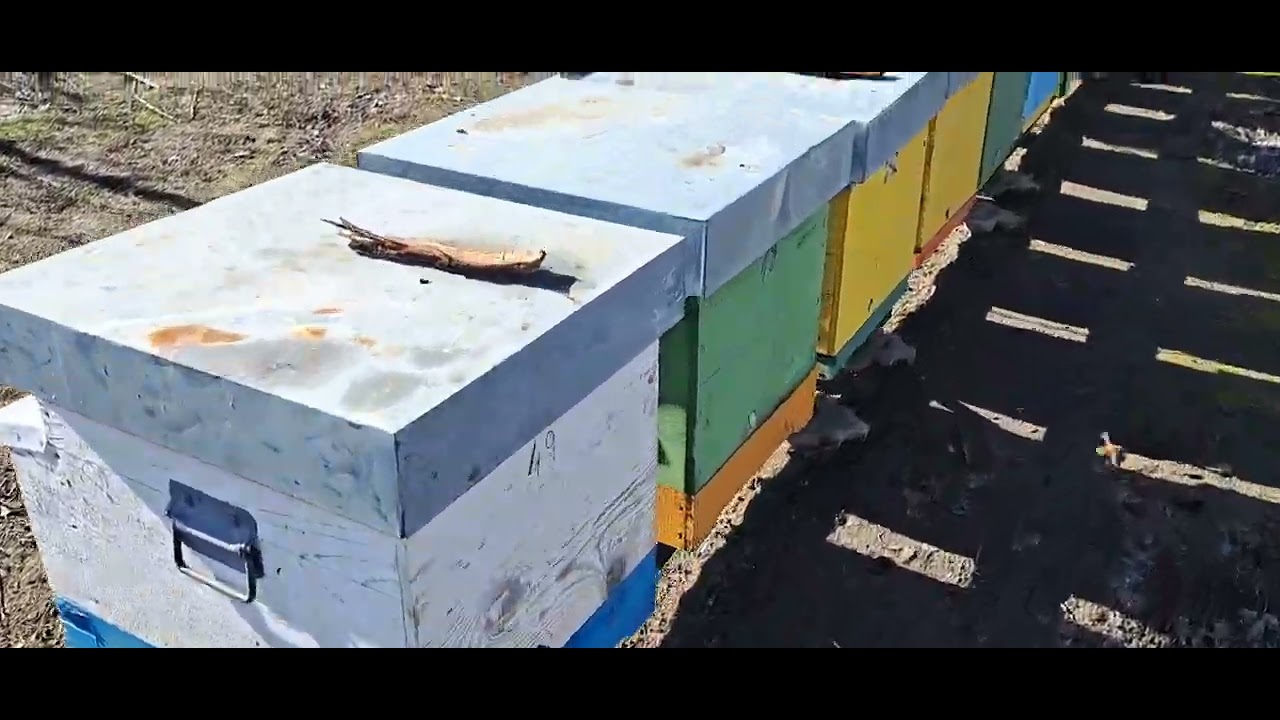 Rezultatul unificari. 