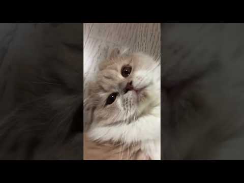 쪼오오오오오오오