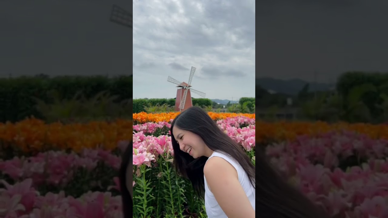 Flower heaven 🌸🌼🌻🪻🪷