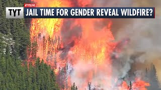 Gender Reveal Wildfire Sparks Criminal Charges